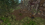32.png
