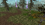 33.png