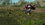 qweqeqwe.png