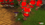 1783630463565.png