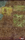 1784382061481.png