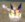 1597408504237.png