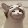 すけぢあ