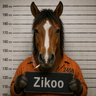zikoo