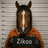 zikoo